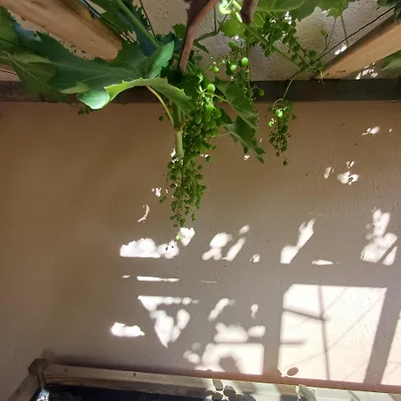 Apartment Apparemment Entier Jardin Terrasse Netflix *