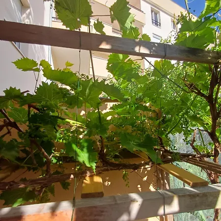 Apparemment Entier Jardin Terrasse Netflix Combs-la-Ville