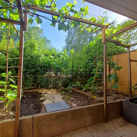 Apparemment Entier Jardin Terrasse Netflix Apartment Combs-la-Ville