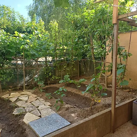 Apparemment Entier Jardin Terrasse Netflix Apartment Combs-la-Ville